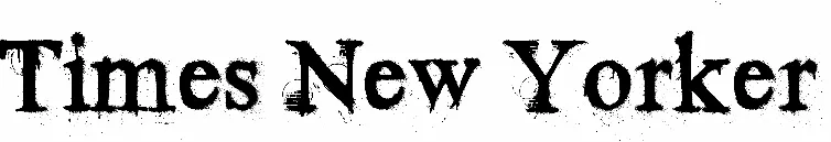 Times New Yorker