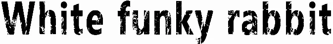 White funky rabbit