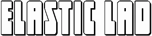 Elastic Lad