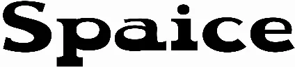Spaice