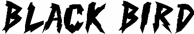 Black Bird