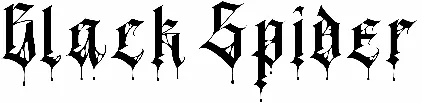 Black Spider