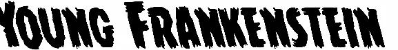 Young Frankenstein
