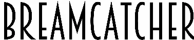 Breamcatcher