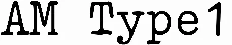 AM Type1