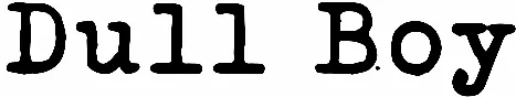 Dull Boy