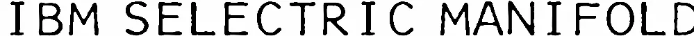 IBM Selectric Manifold