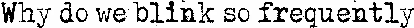 Why do we blink so frequently