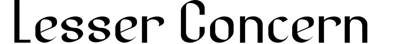 Lesser Concern