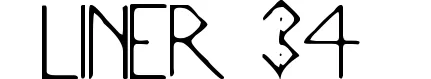 Liner 34