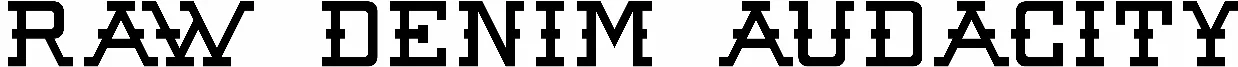 Raw Denim Audacity