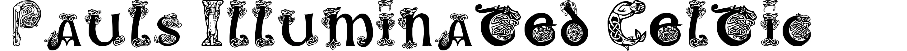 Pauls Illuminated Celtic