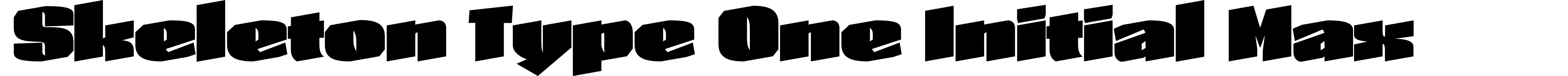 Skeleton Type One Initial Max