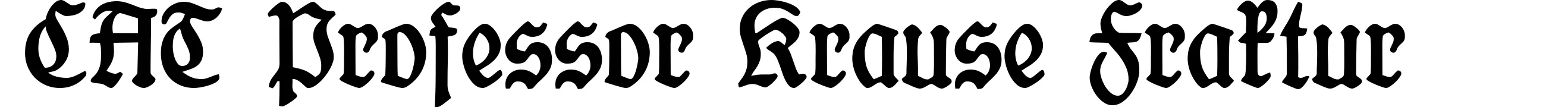 CAT Professor Krause Fraktur