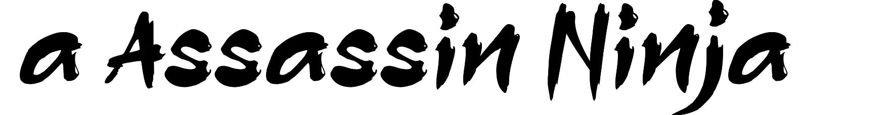 a Assassin Ninja