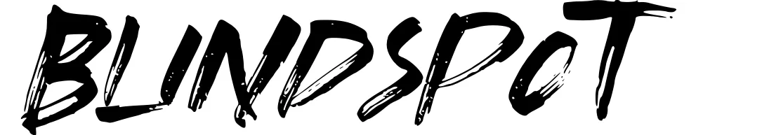 Blindspot