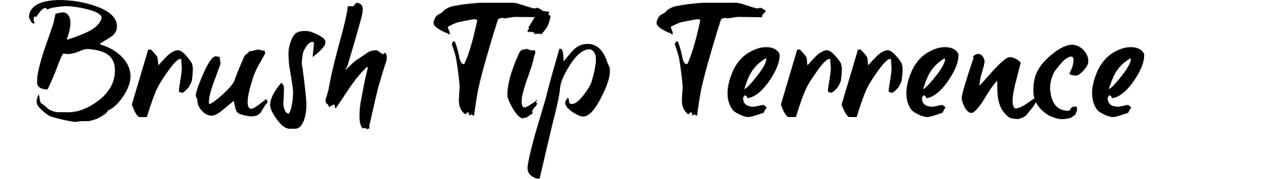 Brush Tip Terrence