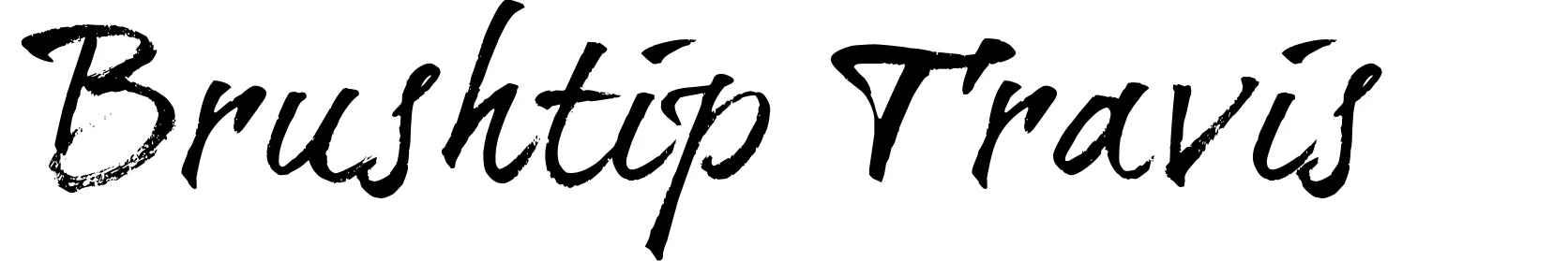 Brushtip Travis