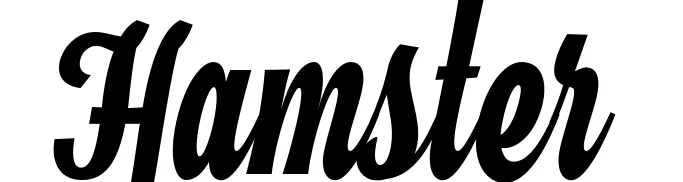 Hamster