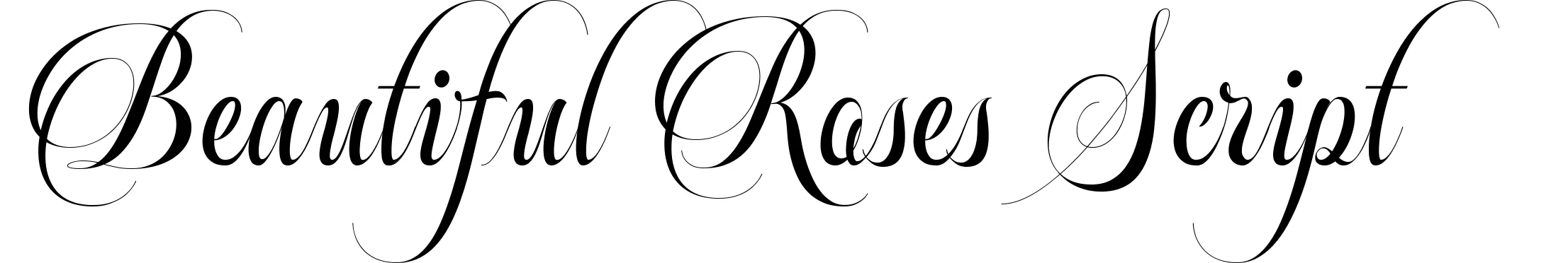 Beautiful Roses Script