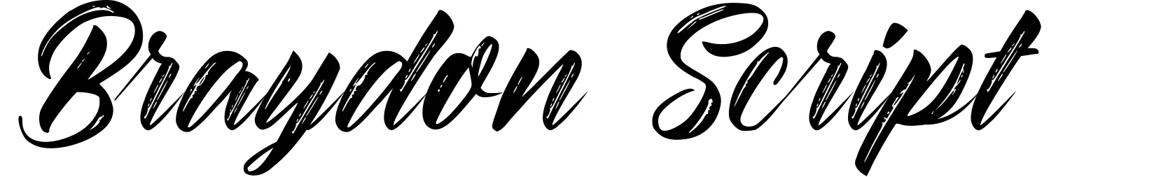 Braydon Script