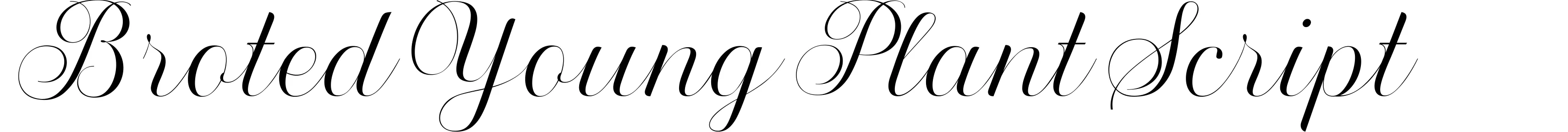 Broted Young Plant Script