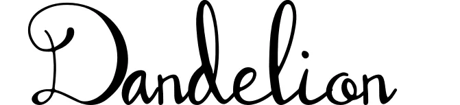 Dandelion