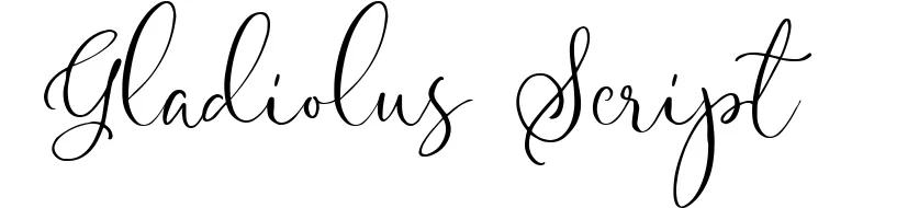 Gladiolus Script