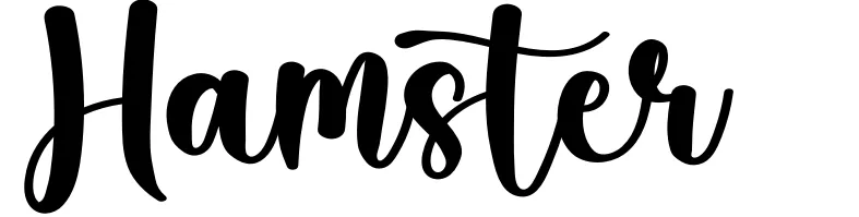 Hamster
