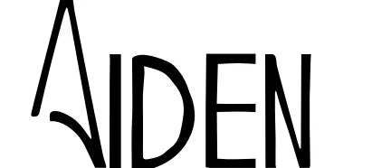 Aiden