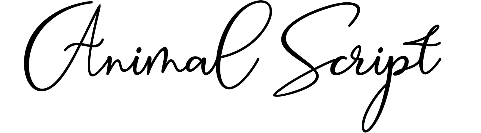 Animal Script