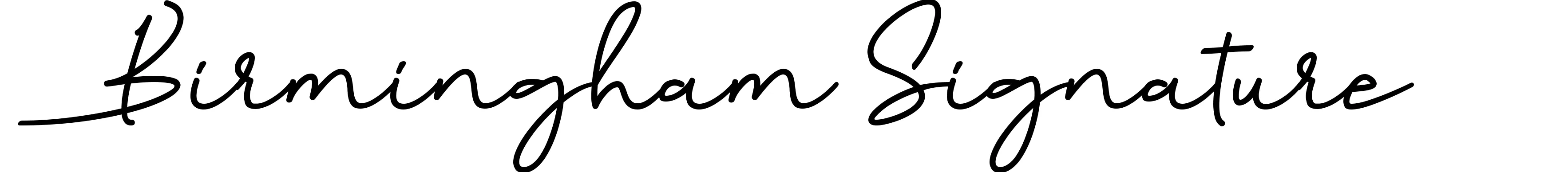 Birmingham Signature