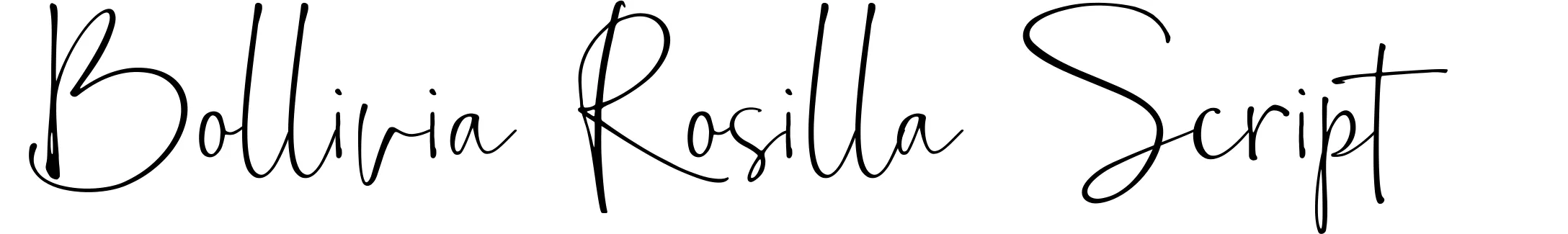 Bollivia Rosilla Script