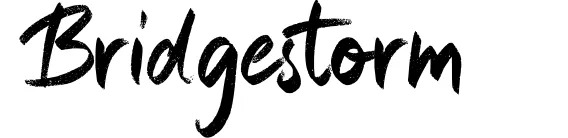 Bridgestorm