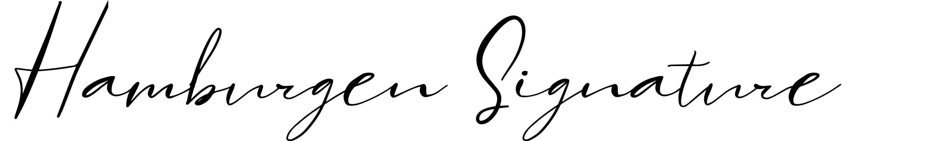 Hamburgen Signature