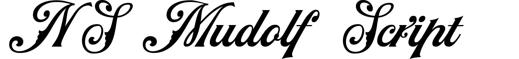 NS Mudolf Script