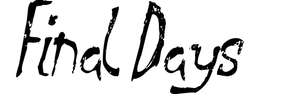 Final Days
