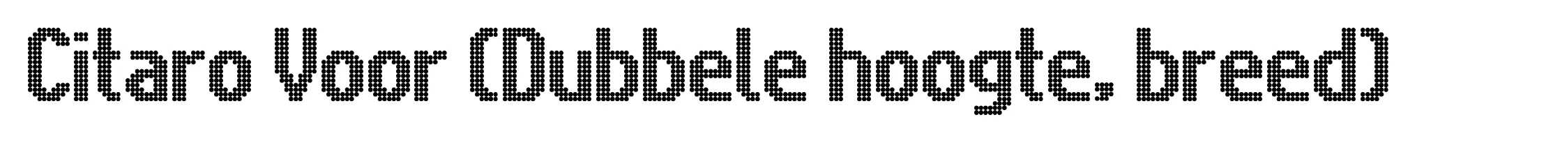 Citaro Voor (Dubbele hoogte, breed)