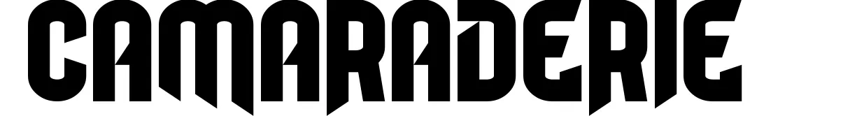 Camaraderie