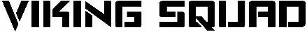 Viking Squad