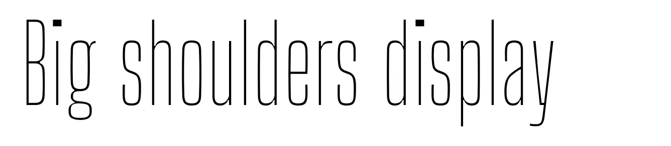 Big shoulders display