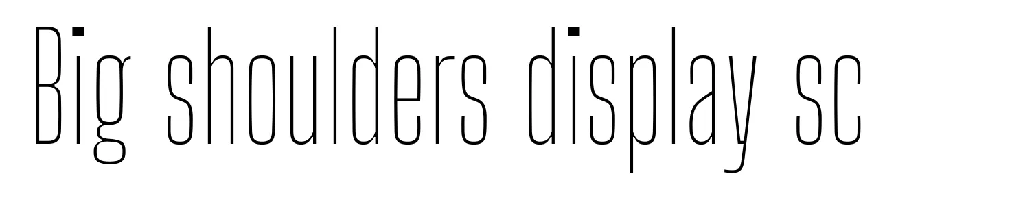 Big shoulders display sc