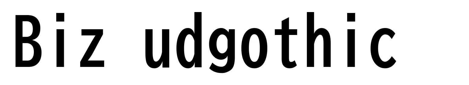 Biz udgothic